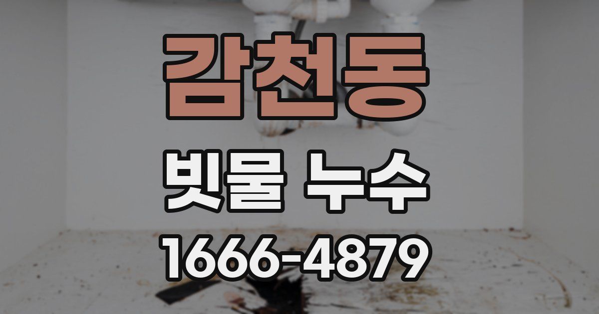 감천동 빗물 누수