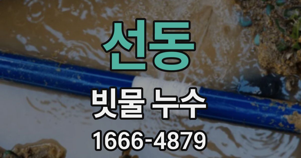 선동 빗물 누수