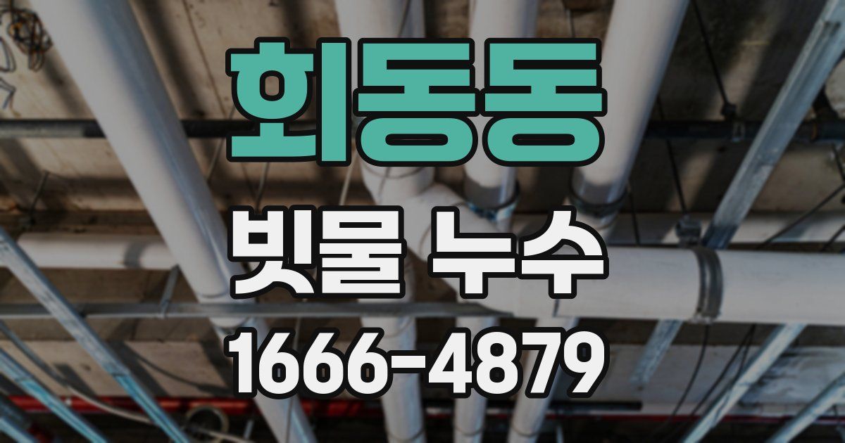 회동동 빗물 누수