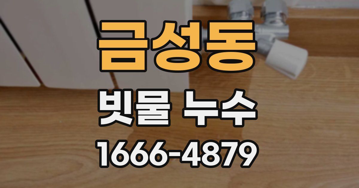 금성동 빗물 누수