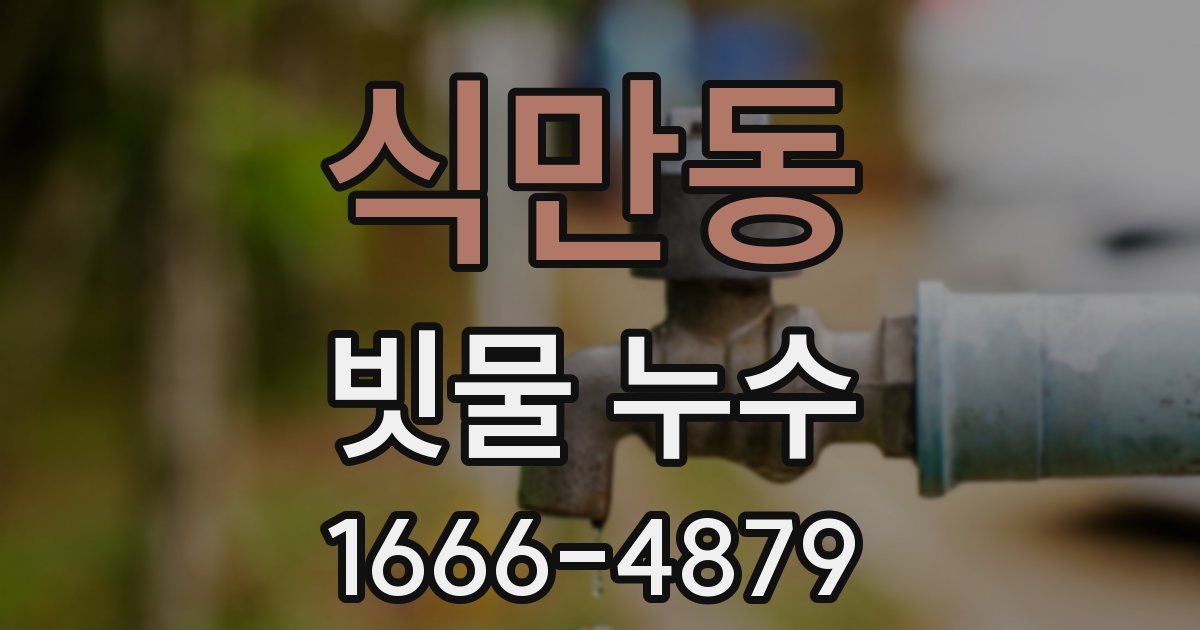 식만동 빗물 누수