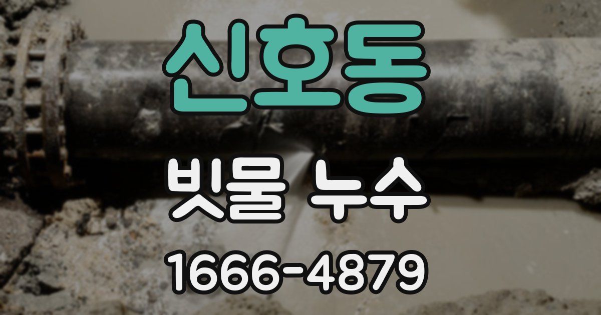 신호동 빗물 누수