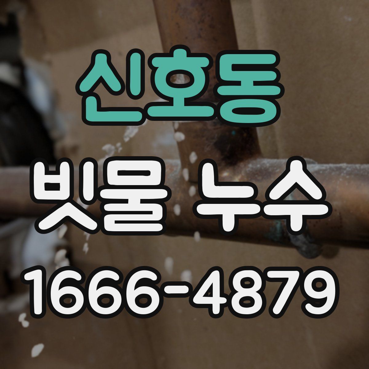 신호동 빗물 누수