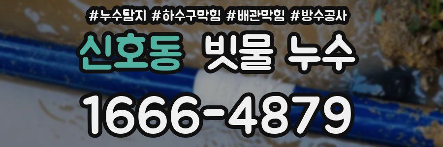 신호동 빗물 누수