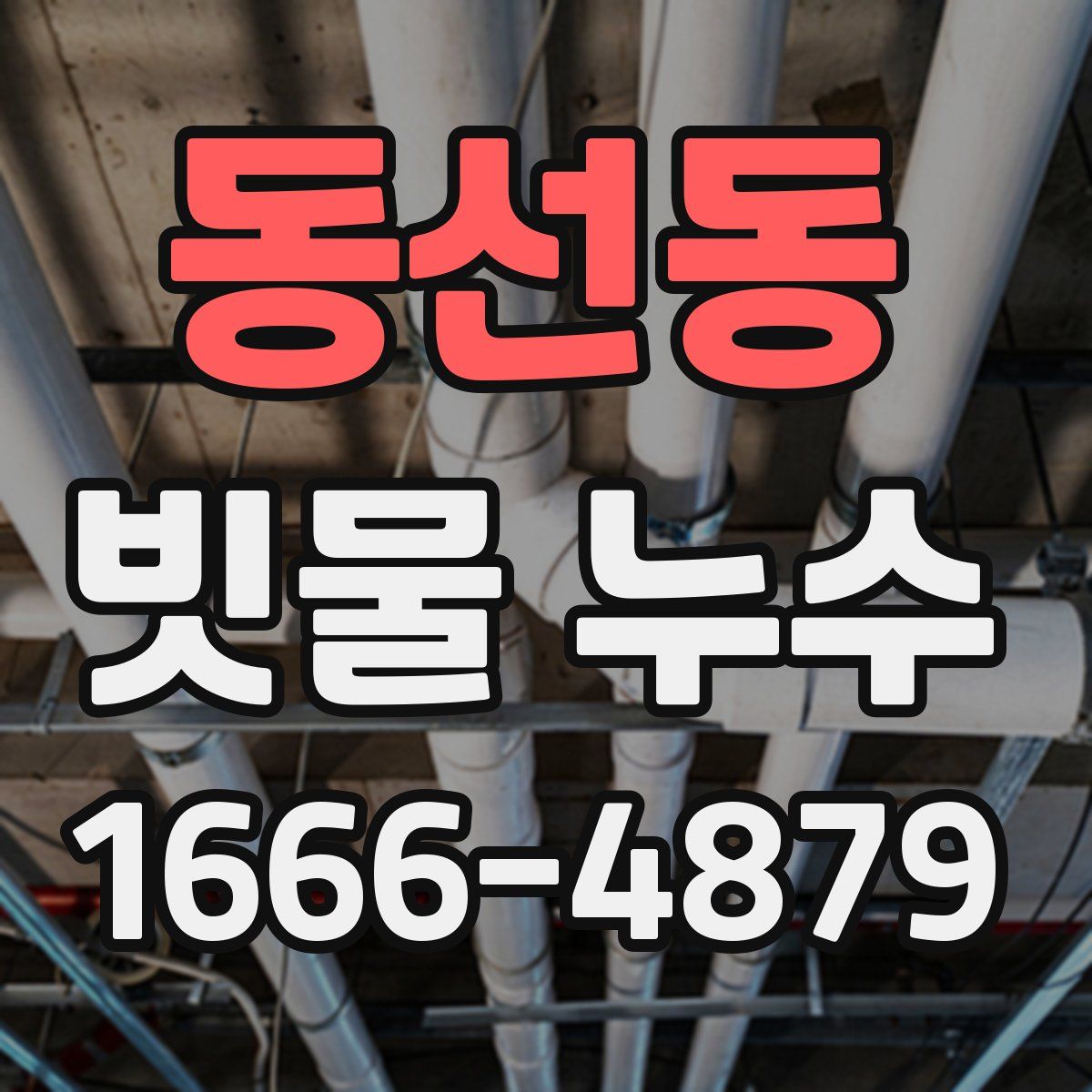 동선동 빗물 누수