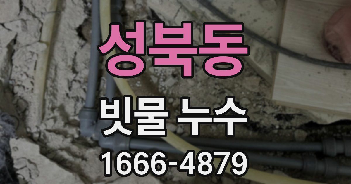 성북동 빗물 누수