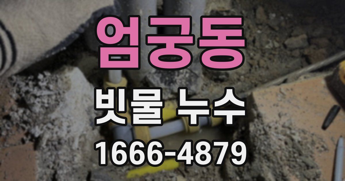 엄궁동 빗물 누수