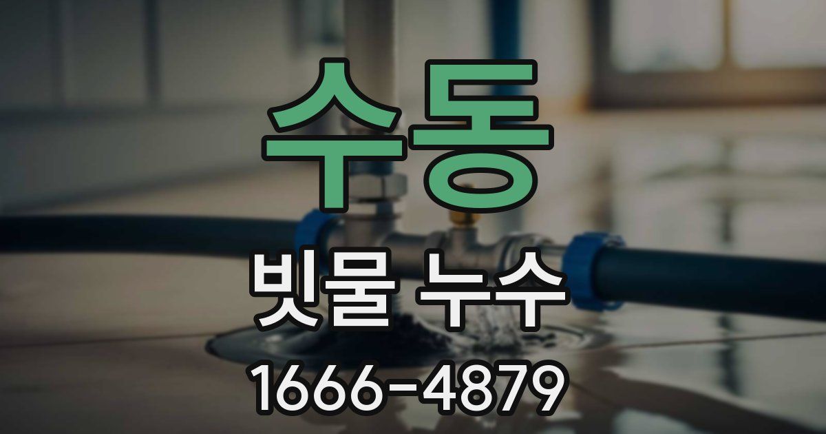 수동 빗물 누수
