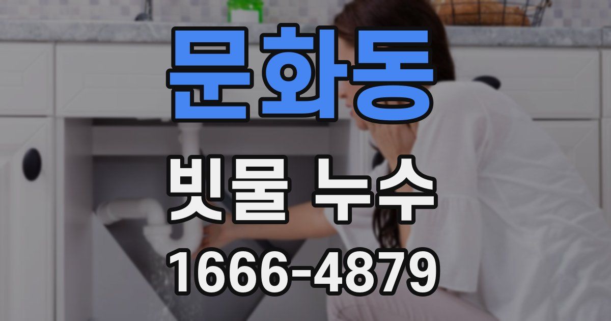 문화동 빗물 누수