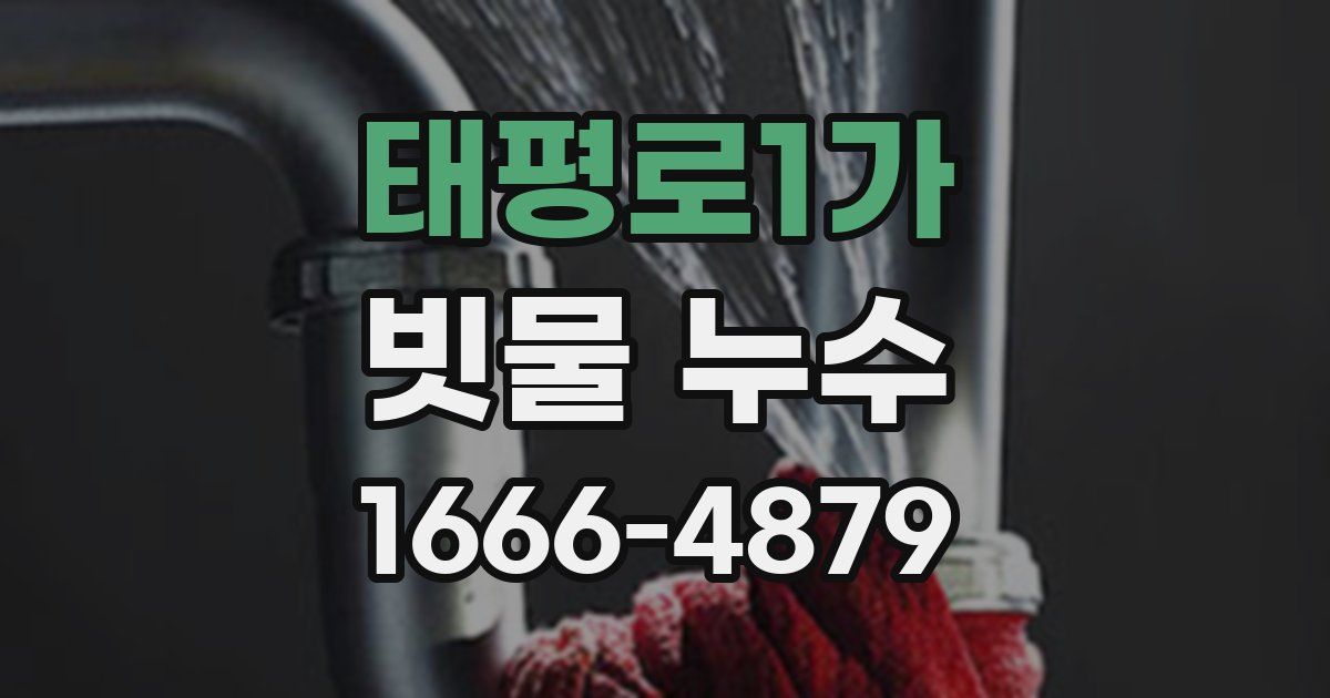 태평로1가 빗물 누수