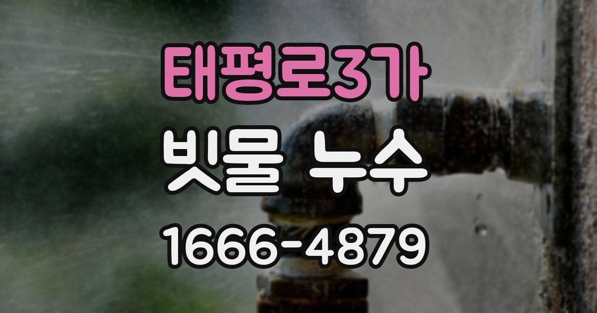 태평로3가 빗물 누수