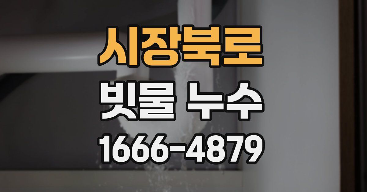 시장북로 빗물 누수