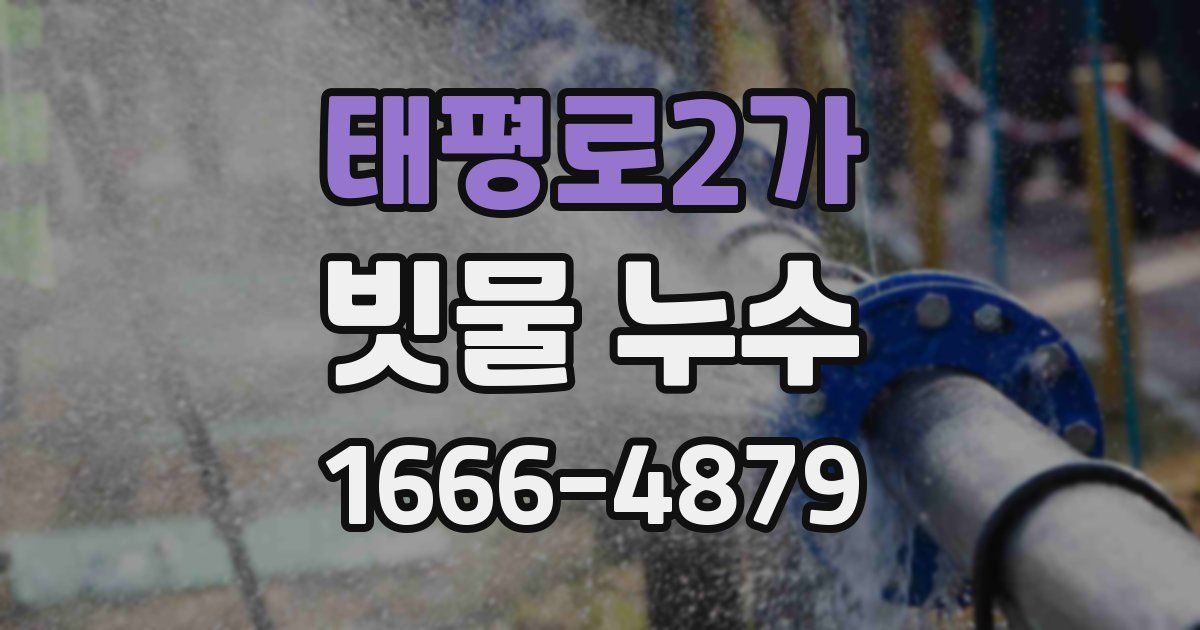 태평로2가 빗물 누수