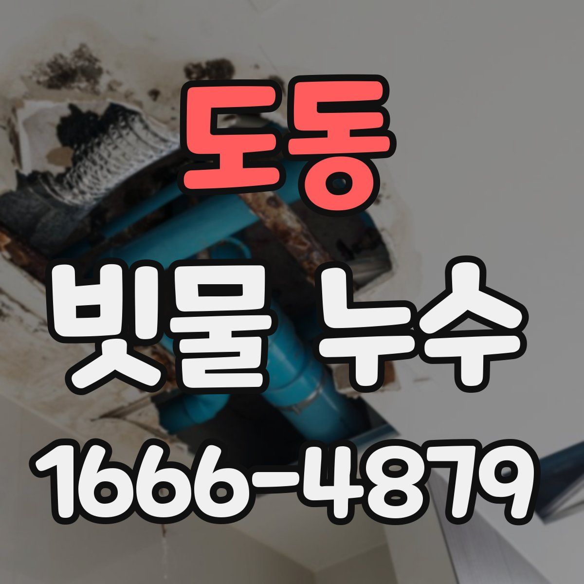 도동 빗물 누수