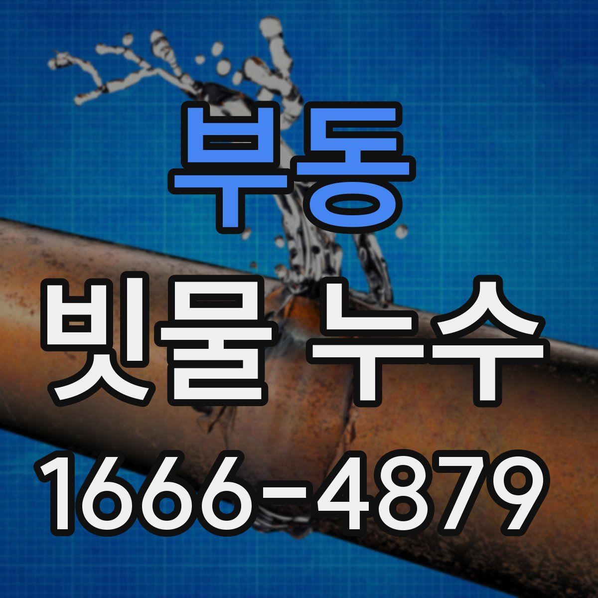 부동 빗물 누수