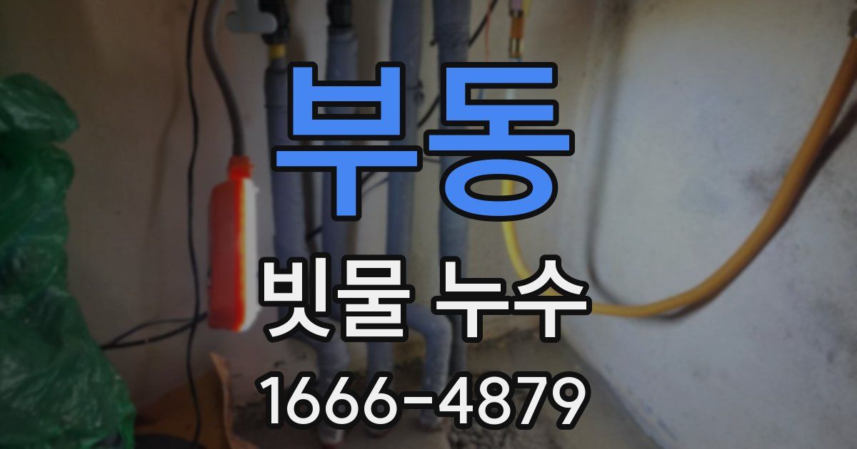 부동 빗물 누수