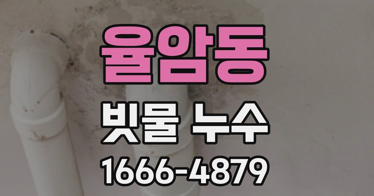 율암동 빗물 누수
