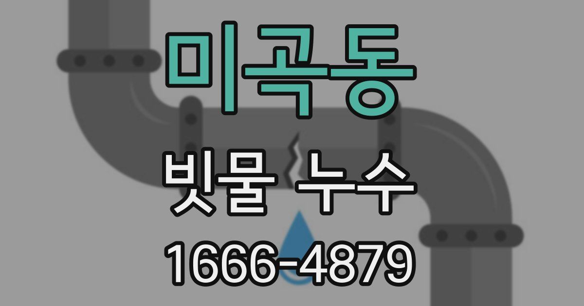 미곡동 빗물 누수