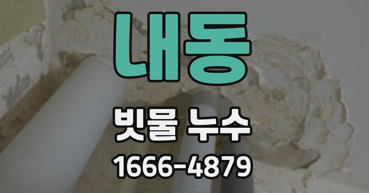 내동 빗물 누수
