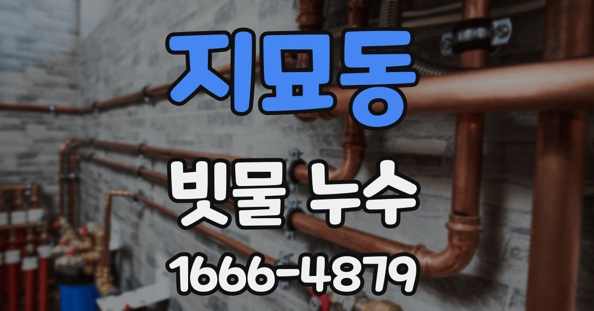 지묘동 빗물 누수