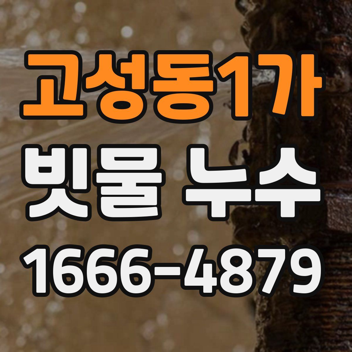 고성동1가 빗물 누수