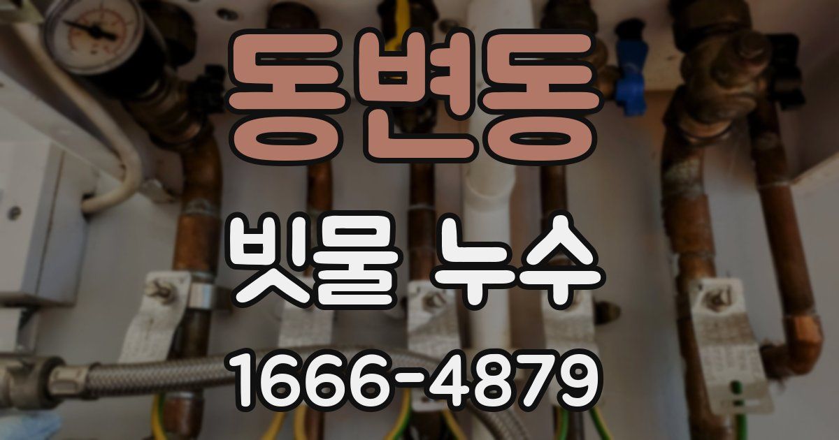 동변동 빗물 누수