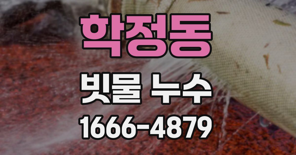 학정동 빗물 누수