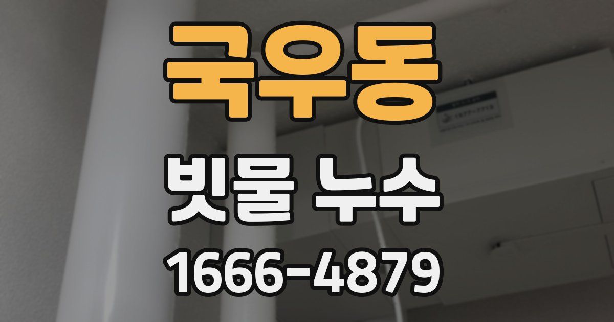 국우동 빗물 누수