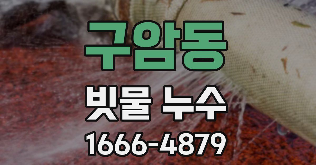 구암동 빗물 누수