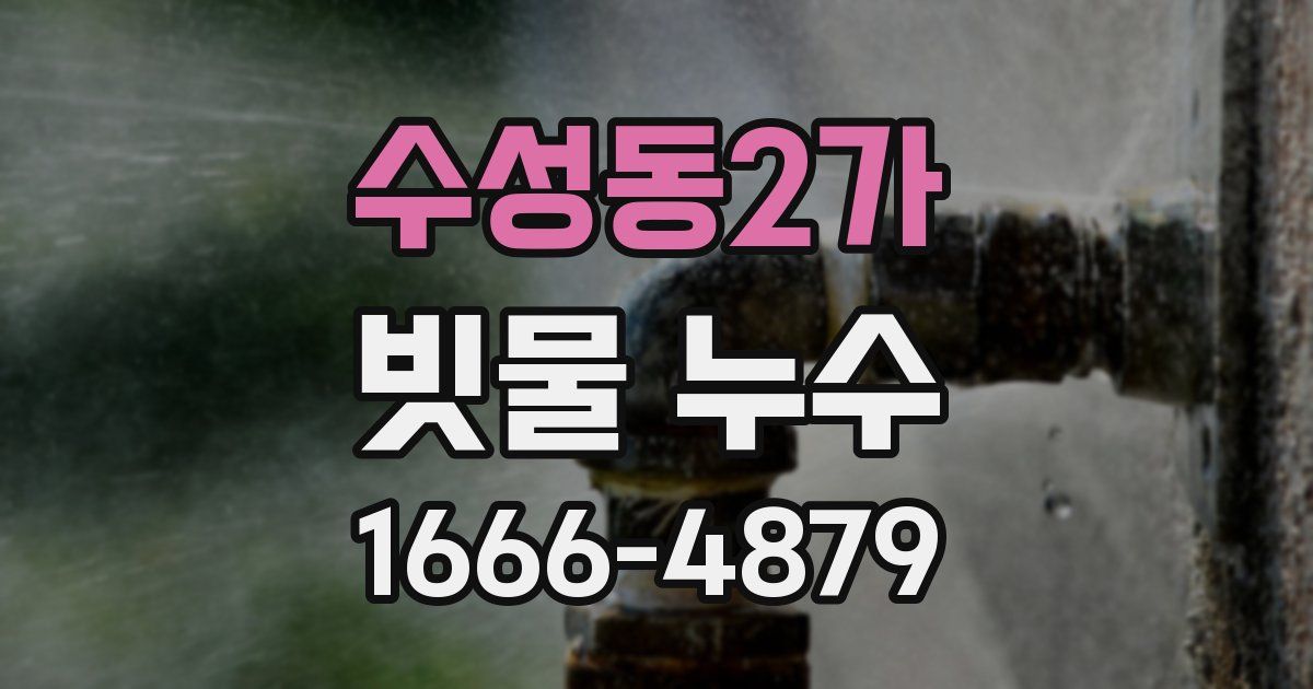 수성동2가 빗물 누수