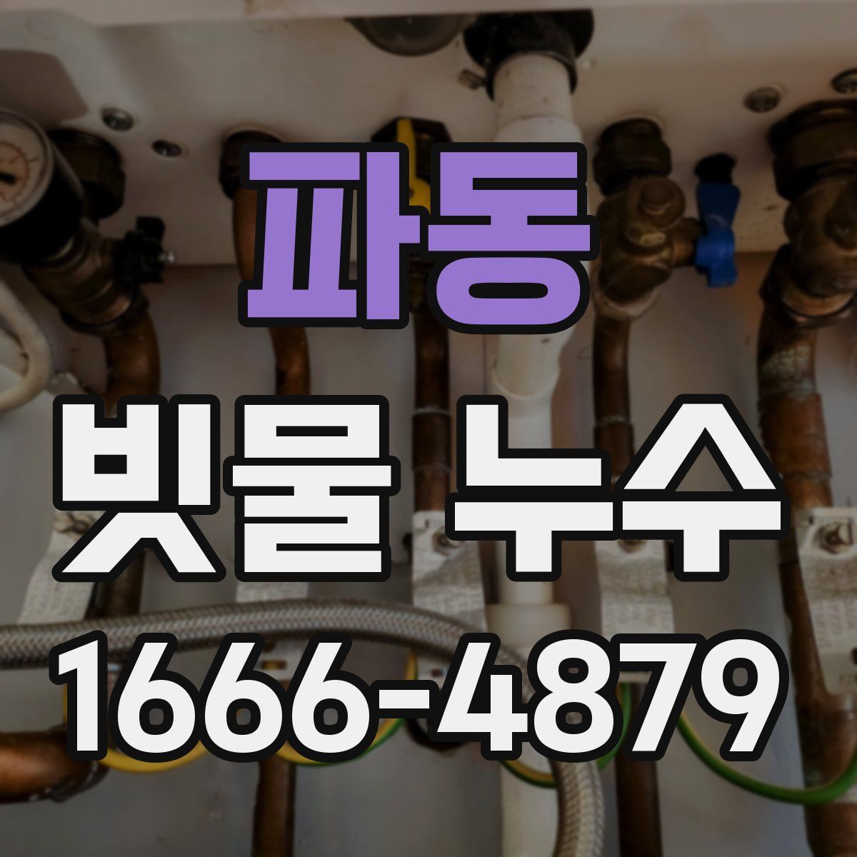 파동 빗물 누수