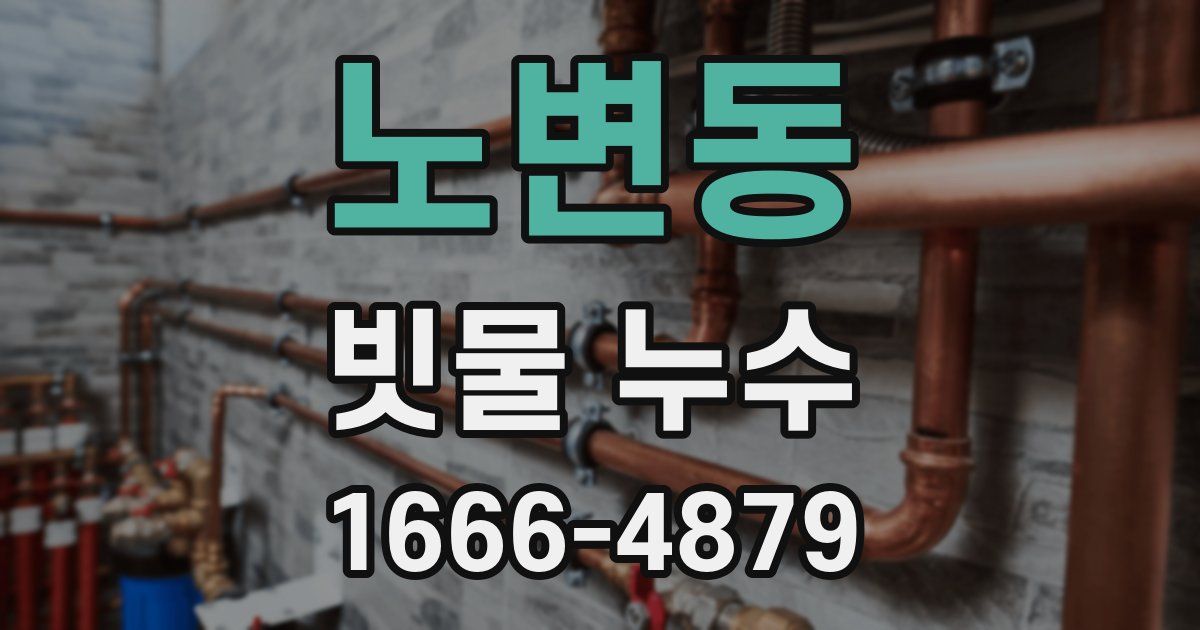 노변동 빗물 누수