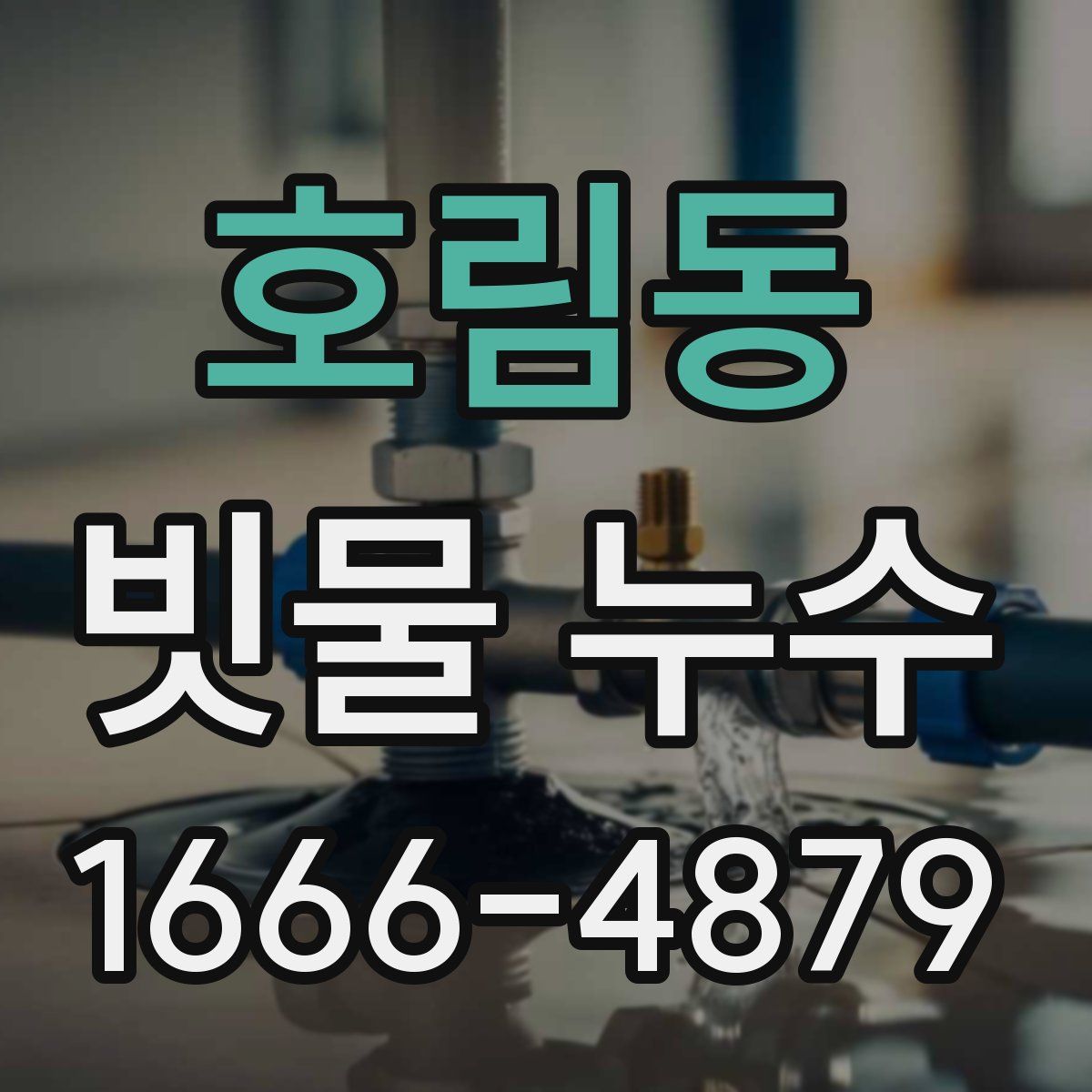 호림동 빗물 누수