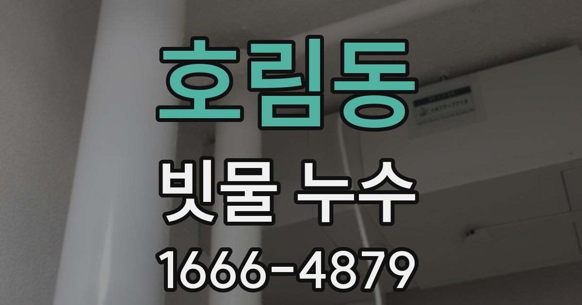 호림동 빗물 누수