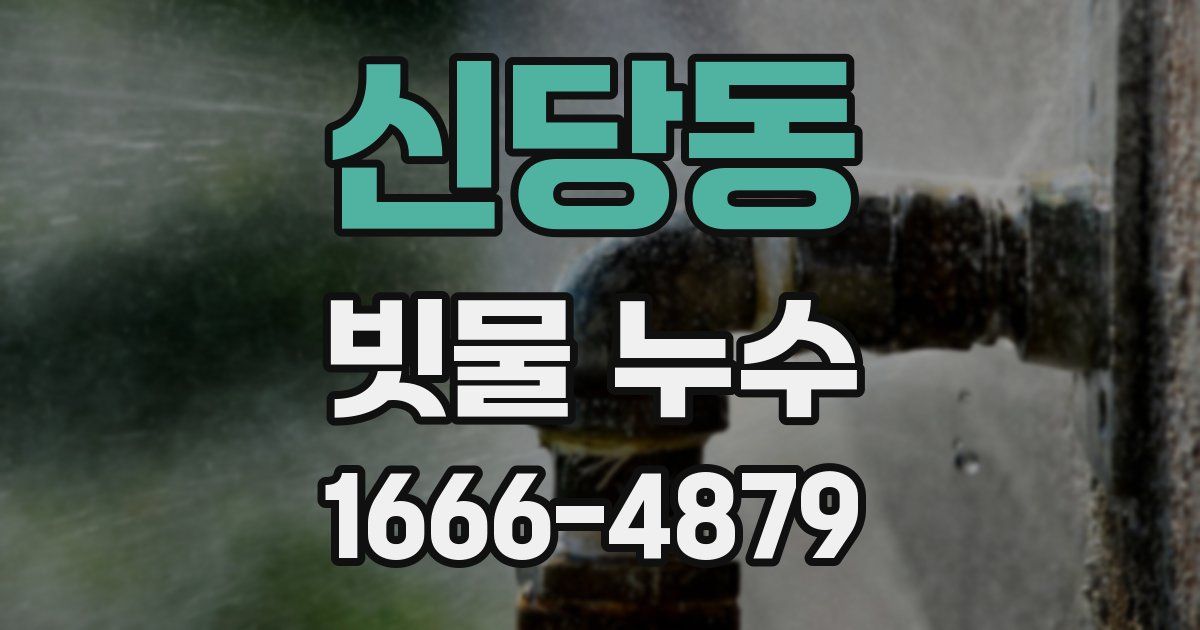 신당동 빗물 누수
