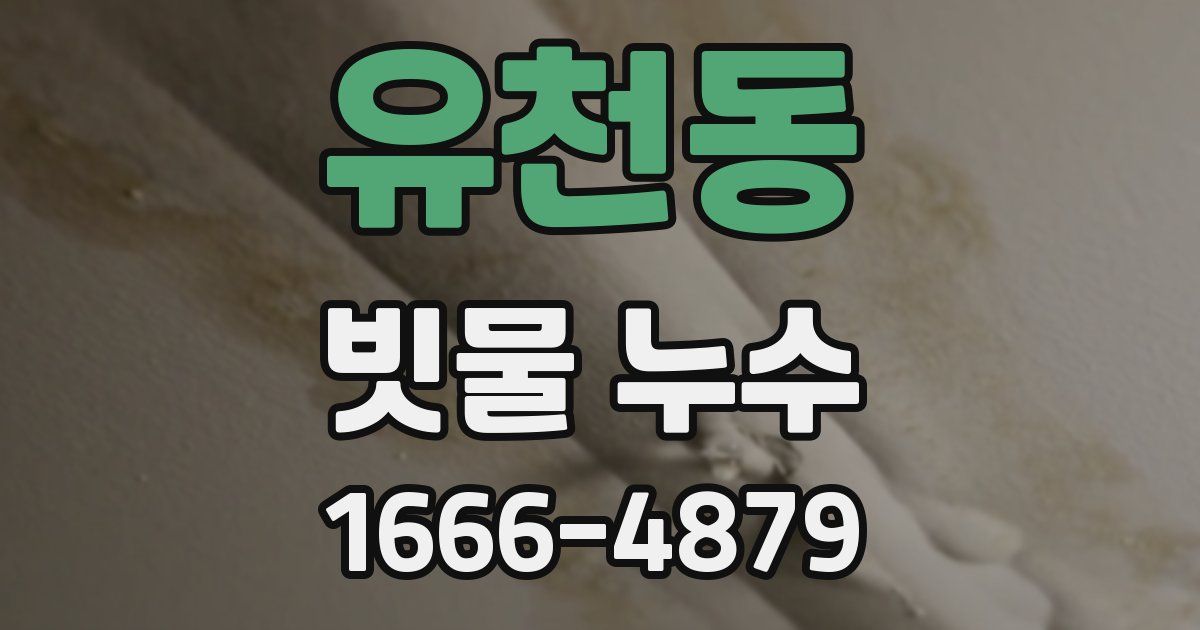 유천동 빗물 누수