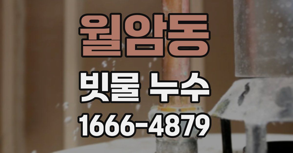 월암동 빗물 누수