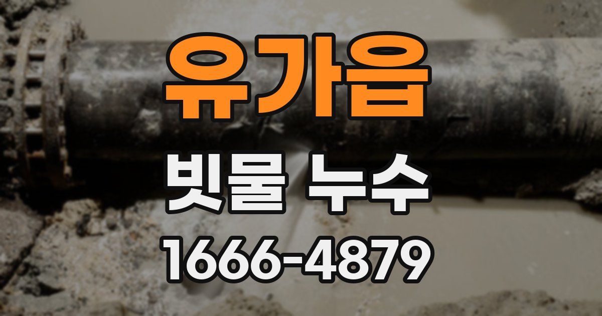 유가읍 빗물 누수
