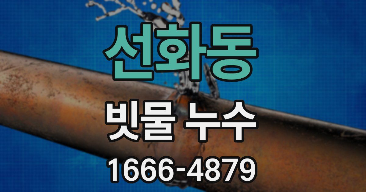선화동 빗물 누수