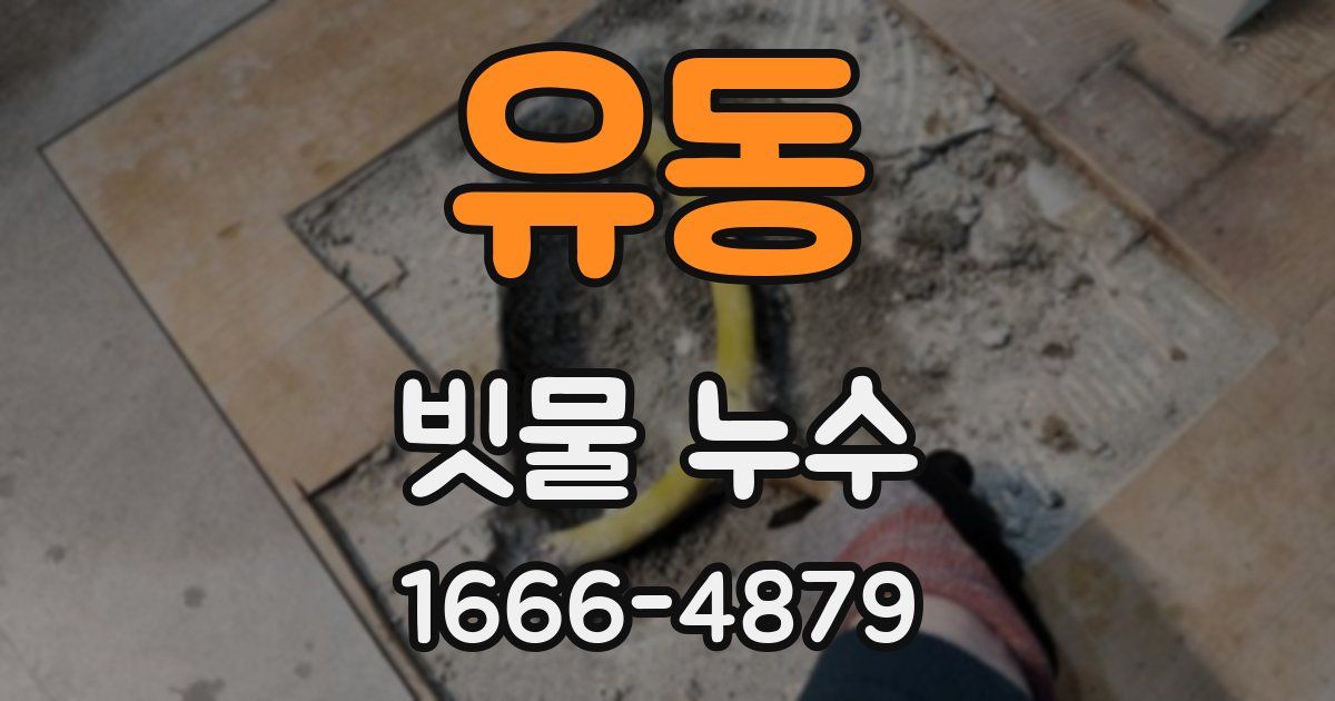 유동 빗물 누수