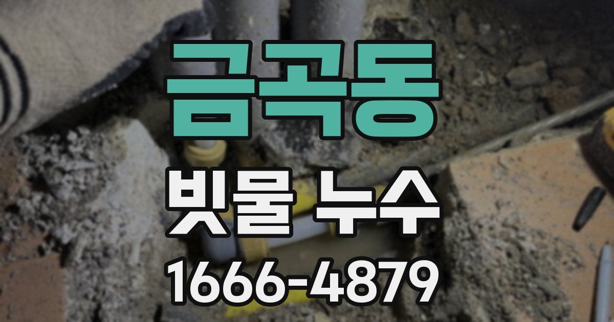 금곡동 빗물 누수