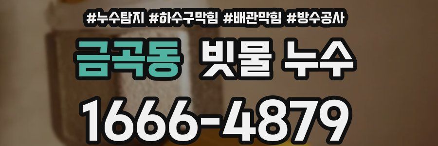 금곡동 빗물 누수