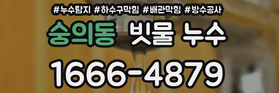 숭의동 빗물 누수