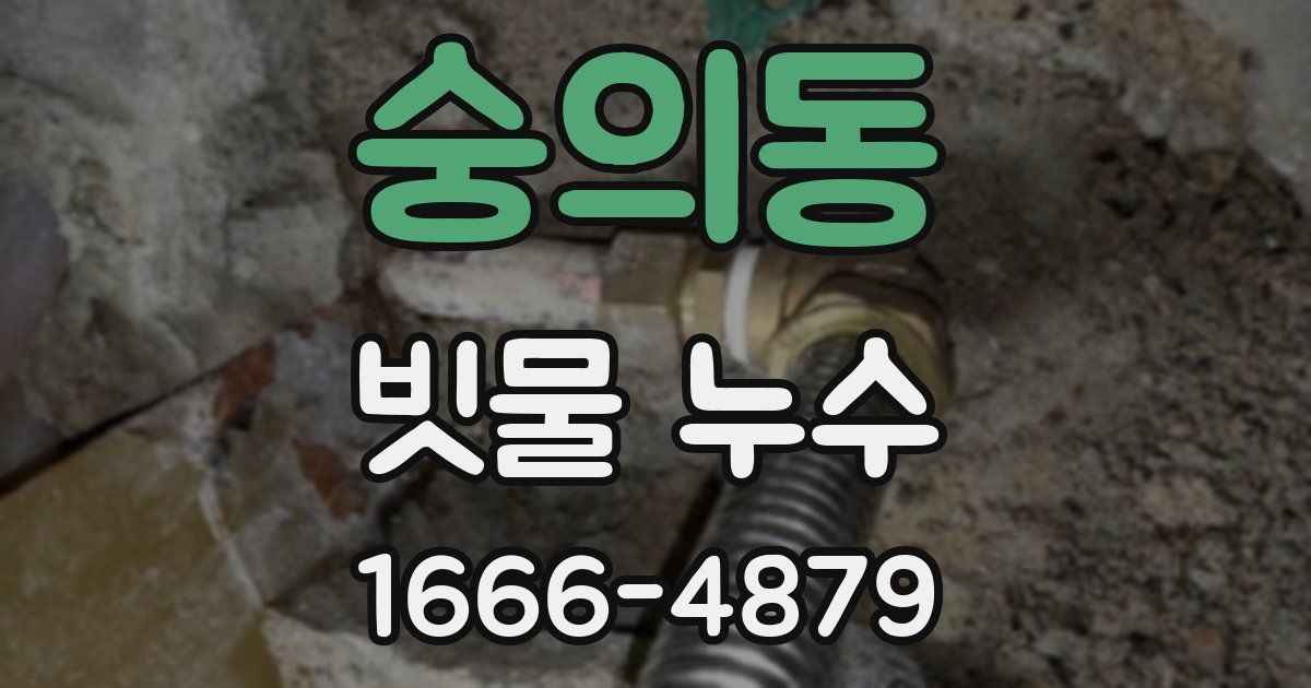숭의동 빗물 누수
