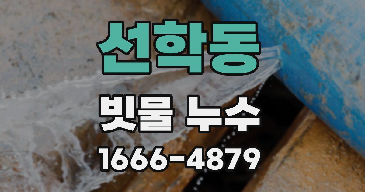 선학동 빗물 누수