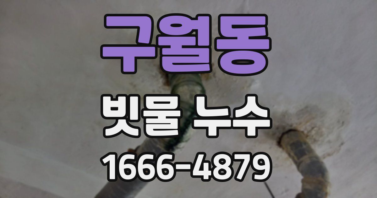 구월동 빗물 누수