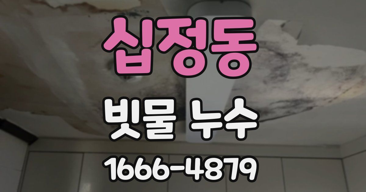 십정동 빗물 누수