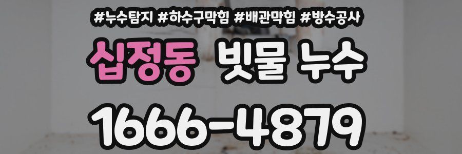 십정동 빗물 누수