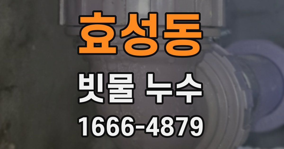 효성동 빗물 누수