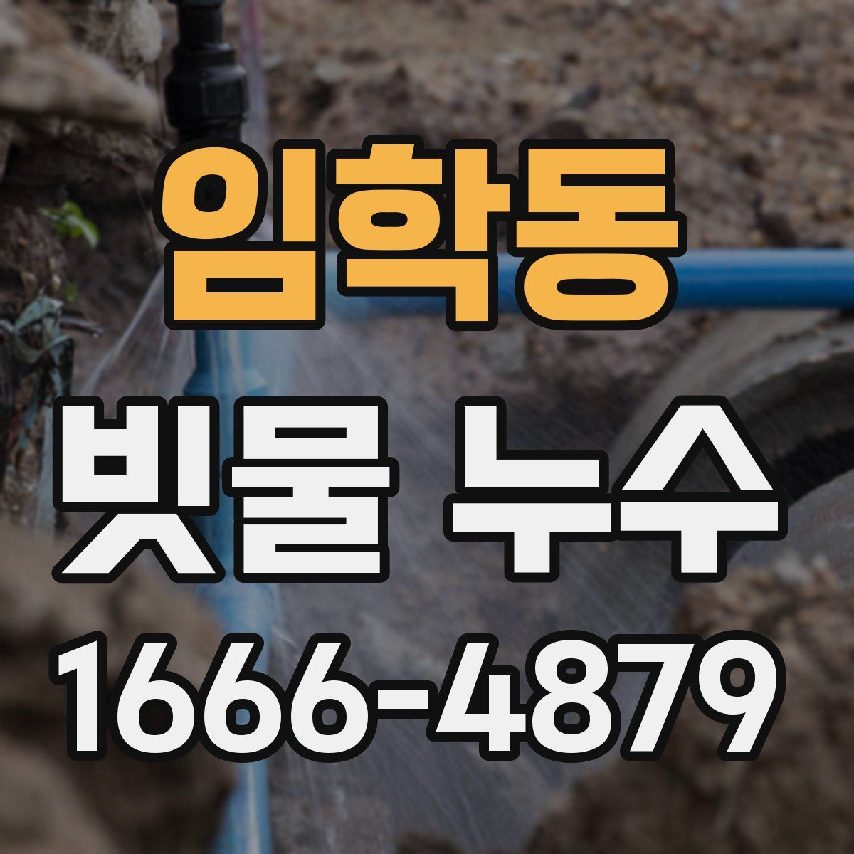 임학동 빗물 누수